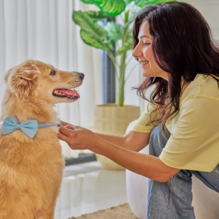 Productos para Mascotas