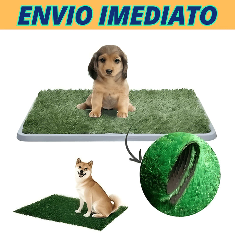 Tapete de Arena Lavable para Perros